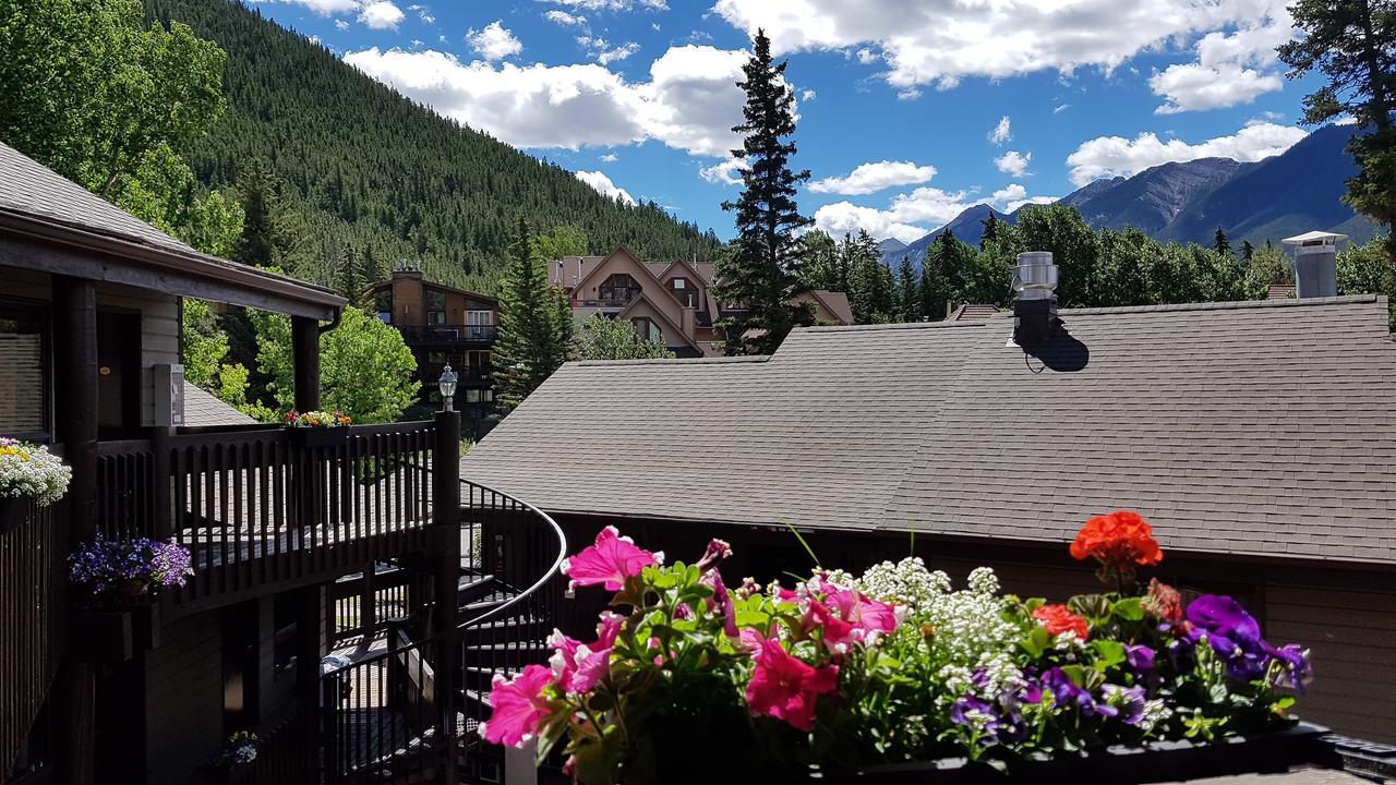 International Auberge de jeunesse
